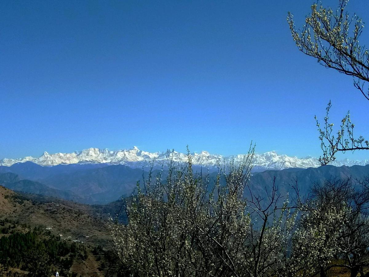 In Apple Estate Kanatal - Himalayan View Resort With Courteous Staff Exterior photo